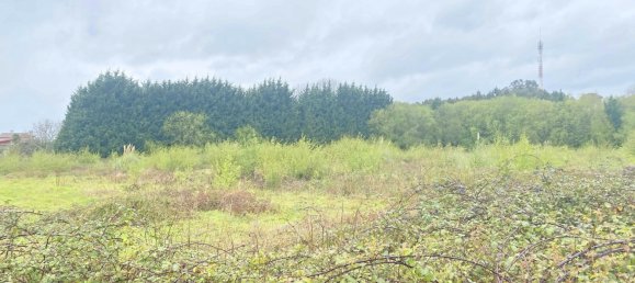 19835m² Land in Betanzos, Spain No. 48174 7