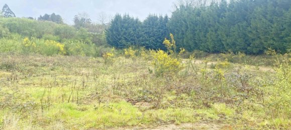 19835m² Land in Betanzos, Spain No. 48174 12