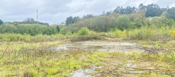 19835m² Land in Betanzos, Spain No. 48174 10