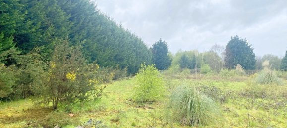 19835m² Land in Betanzos, Spain No. 48174 9