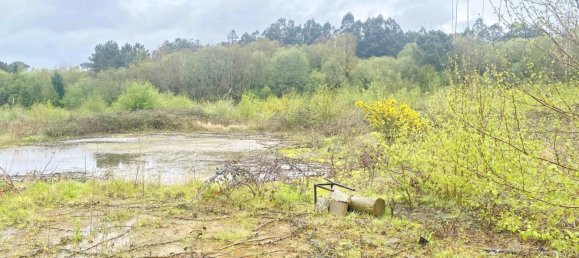 19835m² Land in Betanzos, Spain No. 48174 5