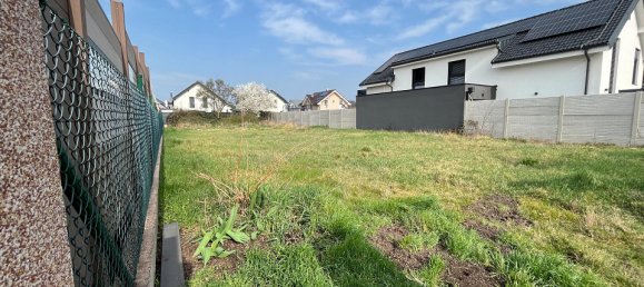  Land in Ganserndorf, Austria No. 126518 2