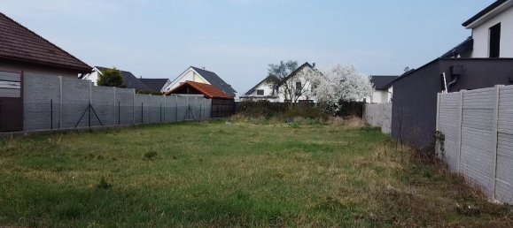  Land in Ganserndorf, Austria No. 126518 4