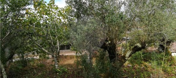 2 bedrooms House in Pousaflores, Portugal No. 20712 6