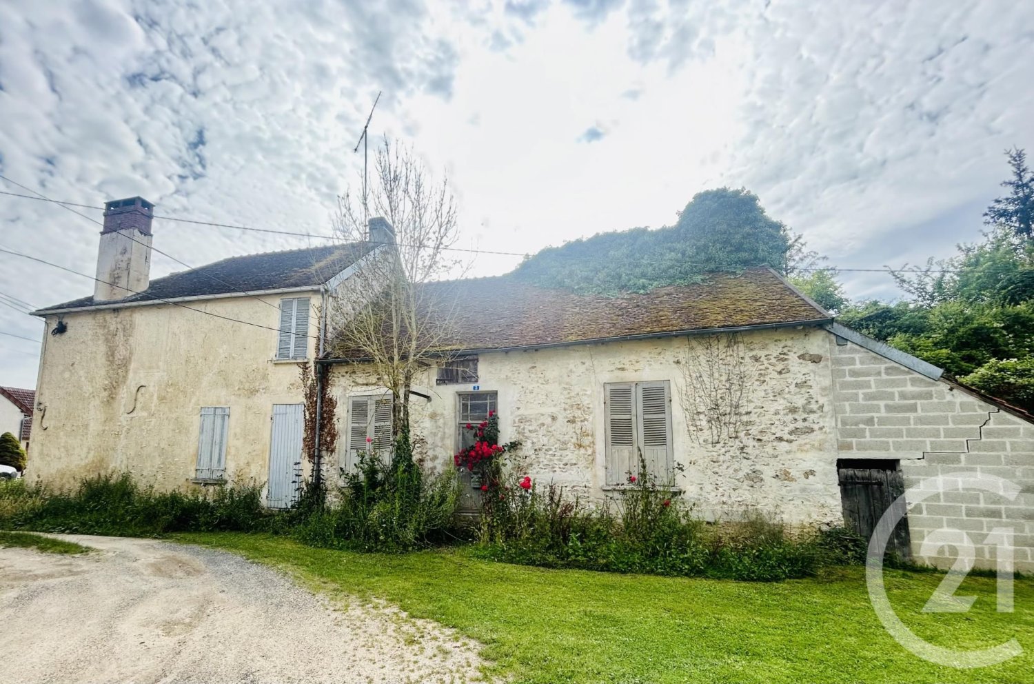 Casa T1 em La Ferte-Gaucher, France N.º 236244