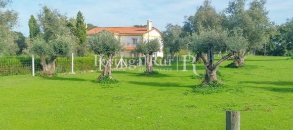 5 bedrooms House in Arraiolos, Portugal No. 136304 28