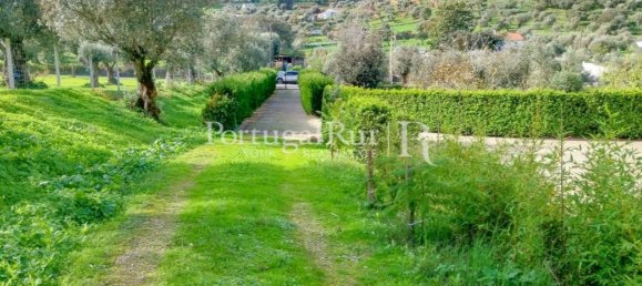 5 bedrooms House in Arraiolos, Portugal No. 136304 27