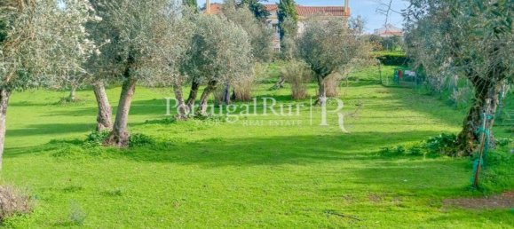 5 bedrooms House in Arraiolos, Portugal No. 136304 29