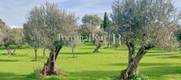 5 bedrooms House in Arraiolos, Portugal No. 136304 30