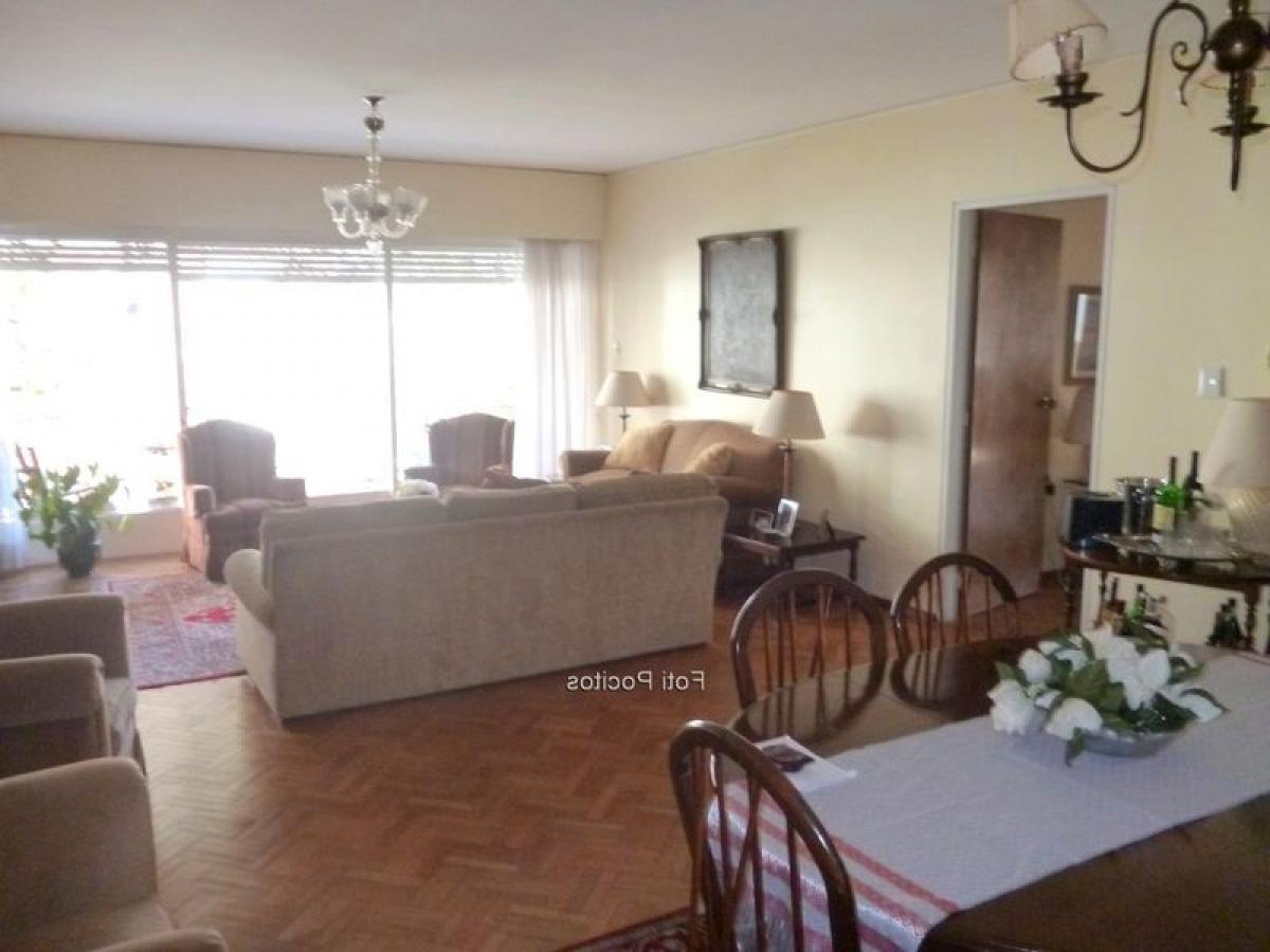3 Schlafzimmer Wohnung in Montevideo, Uruguay, Nr. 1546