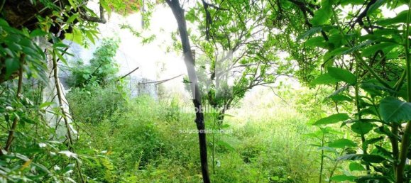 2 Schlafzimmer Haus in Vila Nova de Poiares, Portugal, Nr. 161796 4