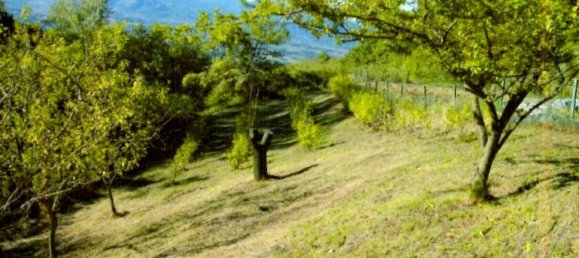 Grundstück in Firenzuola, Italy 8000m², Nr. 178841 4