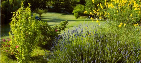 Grundstück in Firenzuola, Italy 8000m², Nr. 178841 2