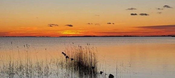 Дом с 2 спальнями в Передняя Померания-Рюген, Германия № 325985 21