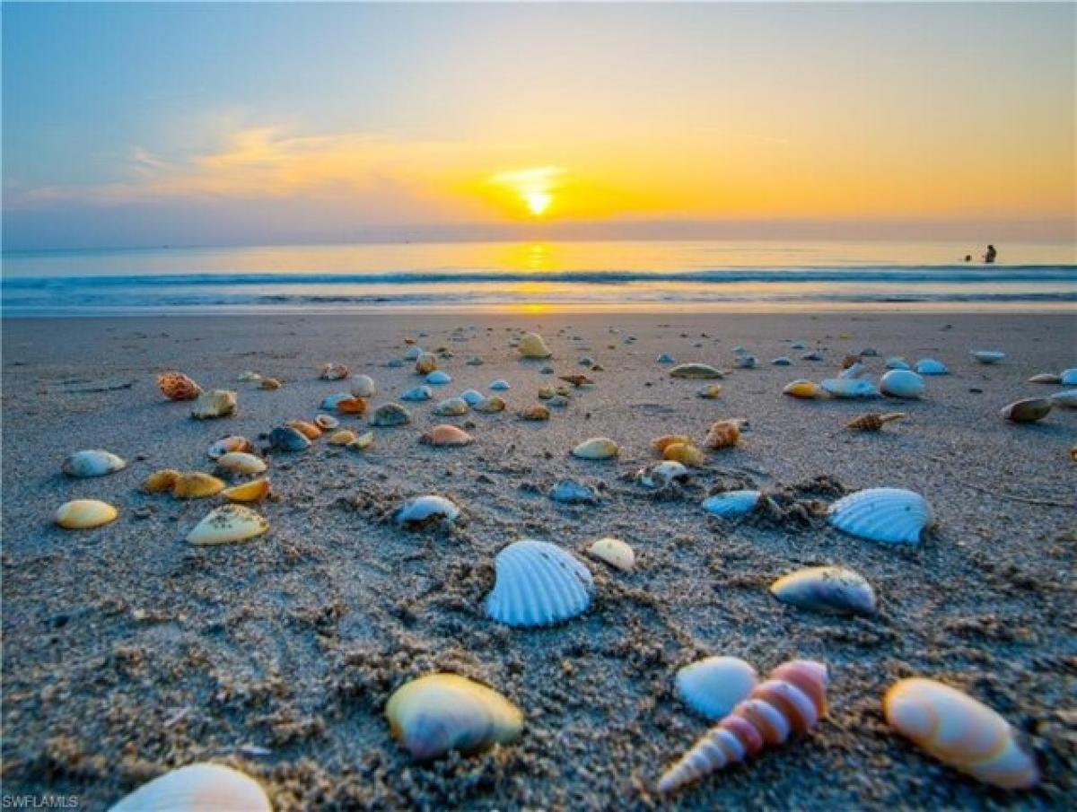 Земельный участок в Нейплс, США № 491790