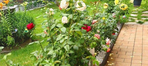 Casa T4 em Altheim, Austria N.º 237650 6