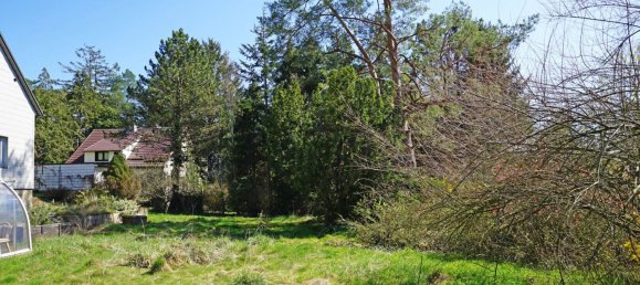  Land in Penzing, Austria No. 137592 7