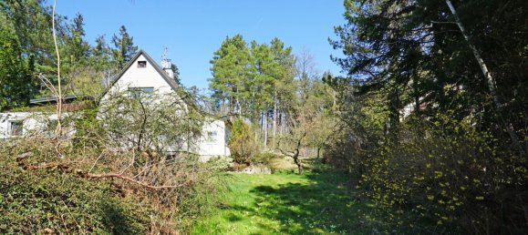  Land in Penzing, Austria No. 137592 8