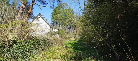  Land in Penzing, Austria No. 137592 9