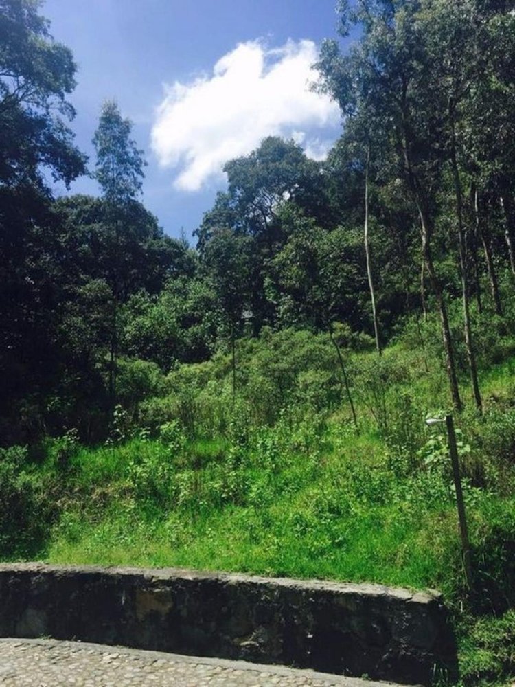 Grundstück in Ocoyoacac, Mexico, Nr. 202681