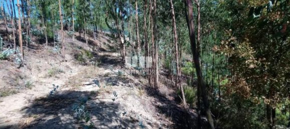 14000m² Land in Baiao, Portugal No. 59379 3