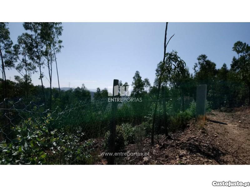 14000m² Land in Baiao, Portugal No. 59379