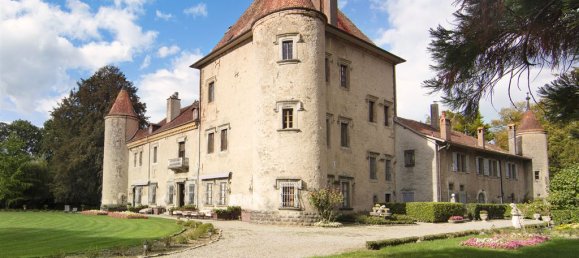 16 Schlafzimmer Schlösser in Douvaine, France, Nr. 63990 2