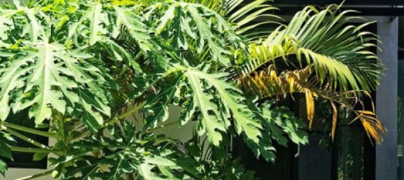 Maison à Krabi, Thailand 90m² No. 77920 19