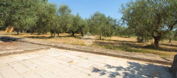 Casa T1 em Termoli, Italy N.º 76153 12