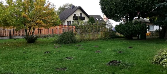  Land in Leipzig, Germany No. 143151 4