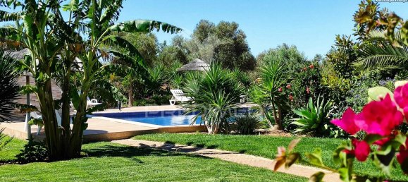 6 bedrooms House in Silves, Portugal No. 129777 5