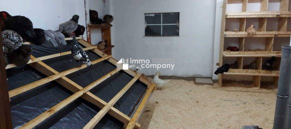 7 rooms House in Burgauberg-Neudauberg, Austria No. 28060 22