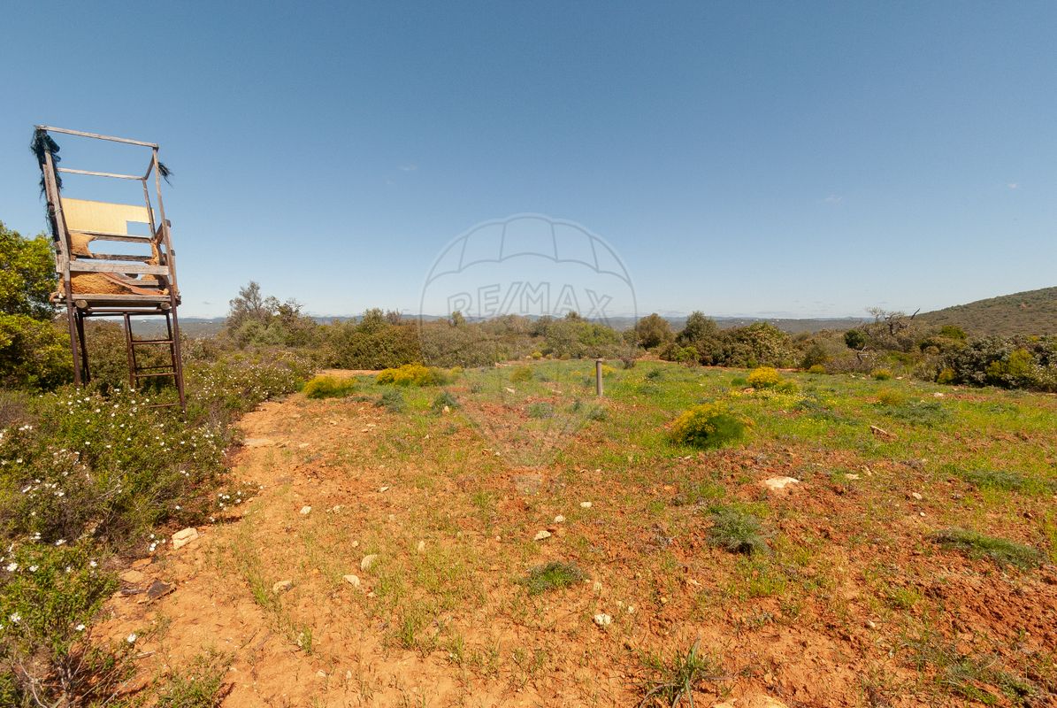  قطعة أرض في Olhao, Portugal 10000متر مربع رقم 38056