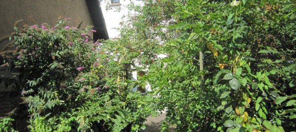 Дом с 6 комнатами в Шмалькальден-Майнинген, Германия № 318185 5