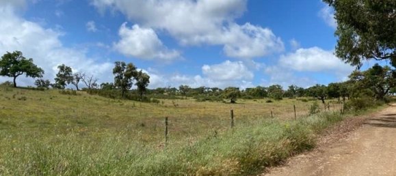 181225m² Land in Santiago do Cacem, Portugal No. 50845 3