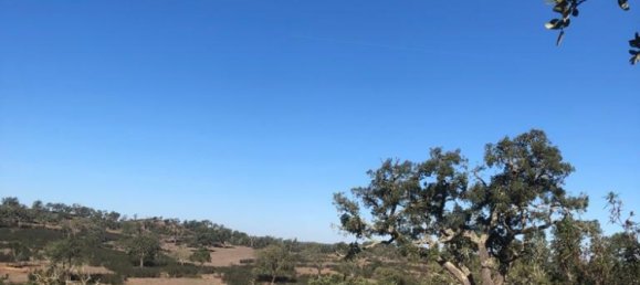 181225m² Land in Santiago do Cacem, Portugal No. 50845 9