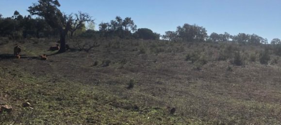 181225m² Land in Santiago do Cacem, Portugal No. 50845 44