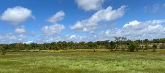 181225m² Land in Santiago do Cacem, Portugal No. 50845 4