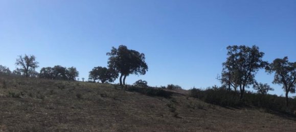 181225m² Land in Santiago do Cacem, Portugal No. 50845 41