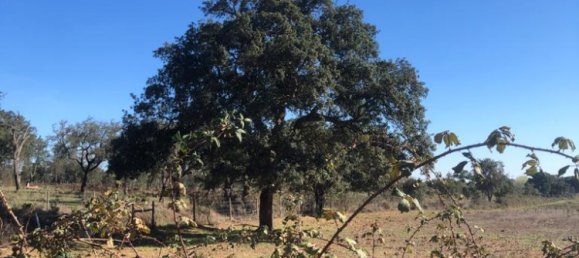 181225m² Land in Santiago do Cacem, Portugal No. 50845 24