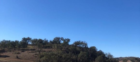 181225m² Land in Santiago do Cacem, Portugal No. 50845 36