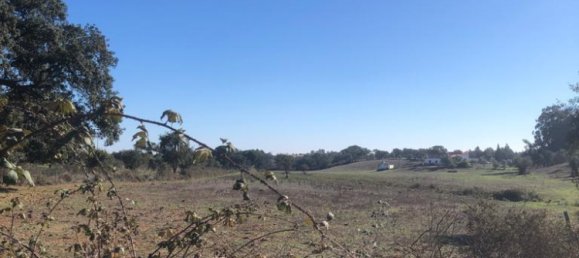 181225m² Land in Santiago do Cacem, Portugal No. 50845 27