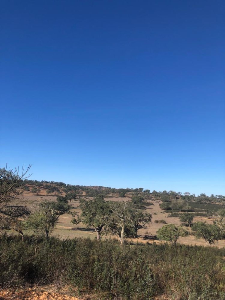 181225m² Land in Santiago do Cacem, Portugal No. 50845