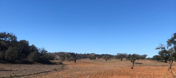 181225m² Land in Santiago do Cacem, Portugal No. 50845 28