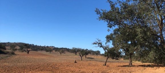 181225m² Land in Santiago do Cacem, Portugal No. 50845 12