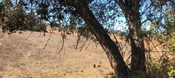 181225m² Land in Santiago do Cacem, Portugal No. 50845 35