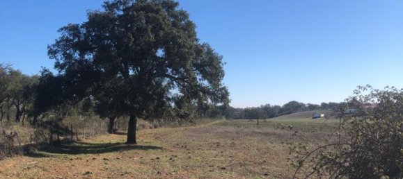 181225m² Land in Santiago do Cacem, Portugal No. 50845 10