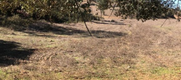 181225m² Land in Santiago do Cacem, Portugal No. 50845 25