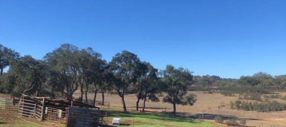 181225m² Land in Santiago do Cacem, Portugal No. 50845 29