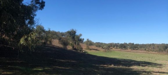 181225m² Land in Santiago do Cacem, Portugal No. 50845 50